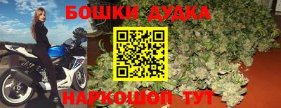 стафф Заводоуковск