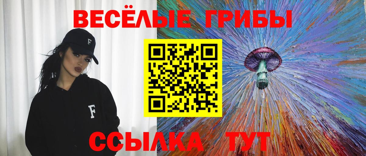 Луховицы  Галлюциногенные грибы Cubensis  Вход с VPN 