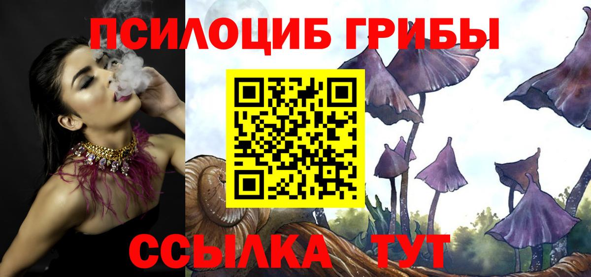 Галлюциногенные грибы мухоморы Луховицы